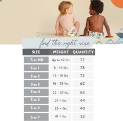 The Honest Company Comfort Dry Disposable Diapers, Plant-Based Sustainable, Winter '24 Seasonal Prints, Club Box, Size 5 (27 lbs), 44 Count
