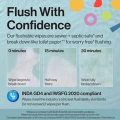 The Honest Company Hypoallergenic Toddler Flushable Wipes, 42 Count