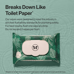 The Honest Company Flushable Wipes for Sensitive Skin | Fragrance Free, Hypoallergenic, 99% Water, Safe to Flush | pH Balanced Feminine Wipes | Tropical Leaves + Gilded Wings, 84 Count (2 Packs of 42)